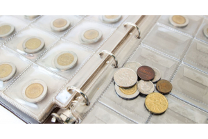 Strategies and Advice for the Novice Collector