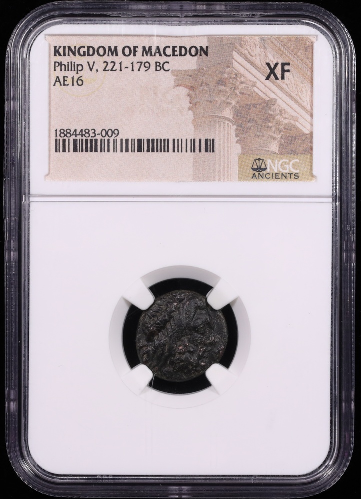 221-179 BC Philip V Bronze AE16 NGC Extremely Fine Obverse in Holder 221-179 BC Philip V Bronze AE16 NGC Extremely Fine Obverse in Holder