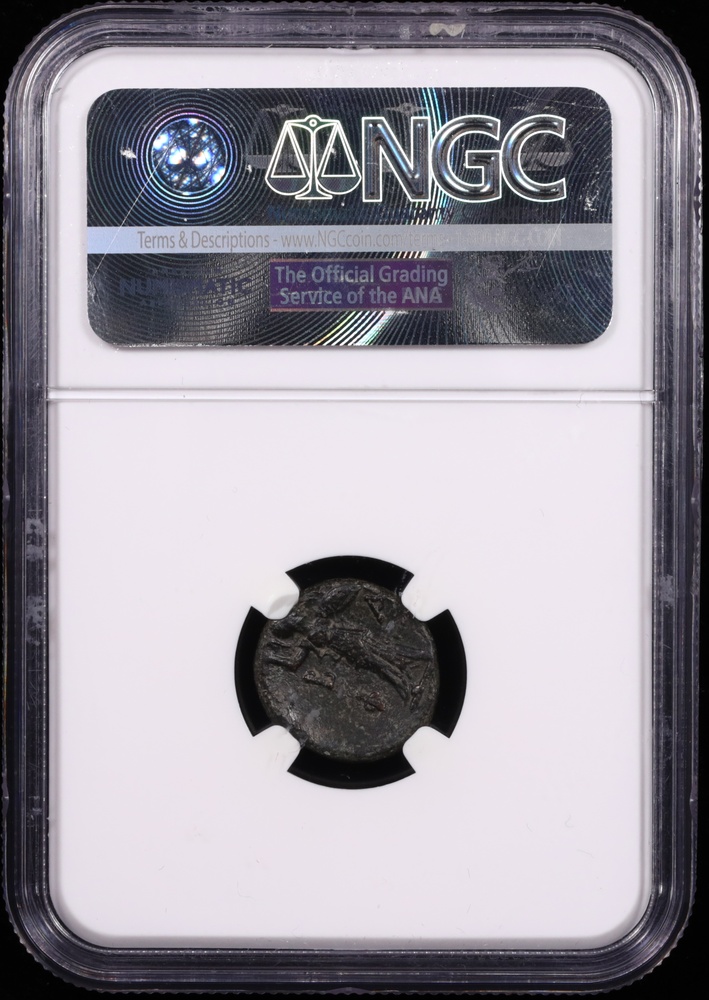 221-179 BC Philip V Bronze AE16 NGC Extremely Fine Reverse in Holder 221-179 BC Philip V Bronze AE16 NGC Extremely Fine Reverse in Holder