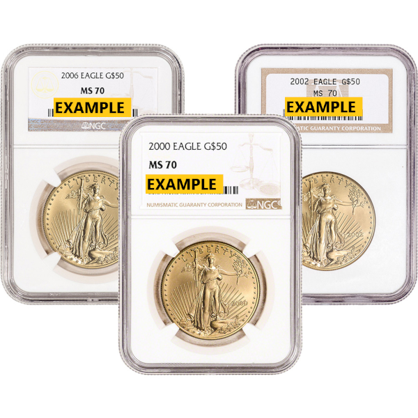1-oz Gold American Eagle NGC MS-70 Obverse in Holder 1-oz Gold American Eagle NGC MS-70 Obverse in Holder