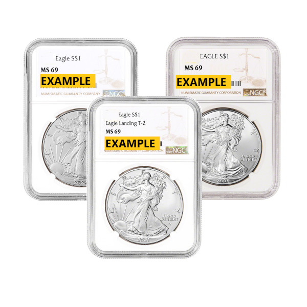 1 oz American Silver Eagle NGC MS-69 Obverse in Holder 1 oz American Silver Eagle NGC MS-69 Obverse in Holder