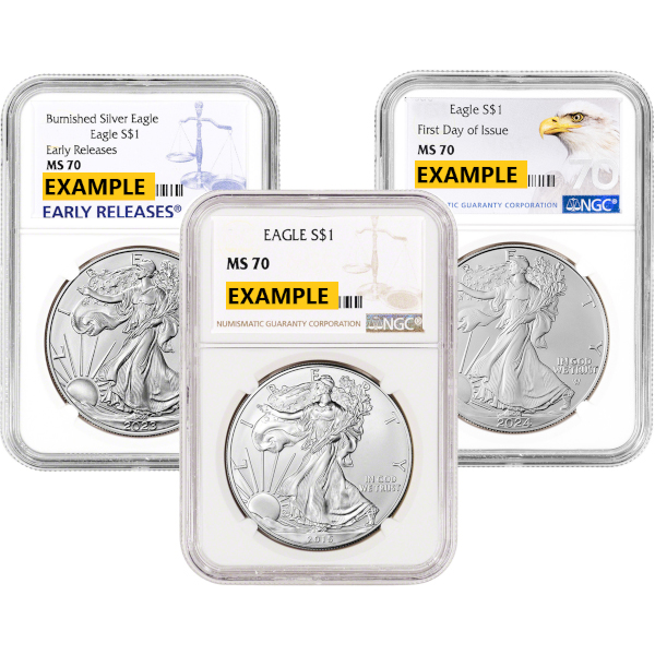 1 oz American Silver Eagle NGC MS-70 Obverse in Holder 1 oz American Silver Eagle NGC MS-70 Obverse in Holder