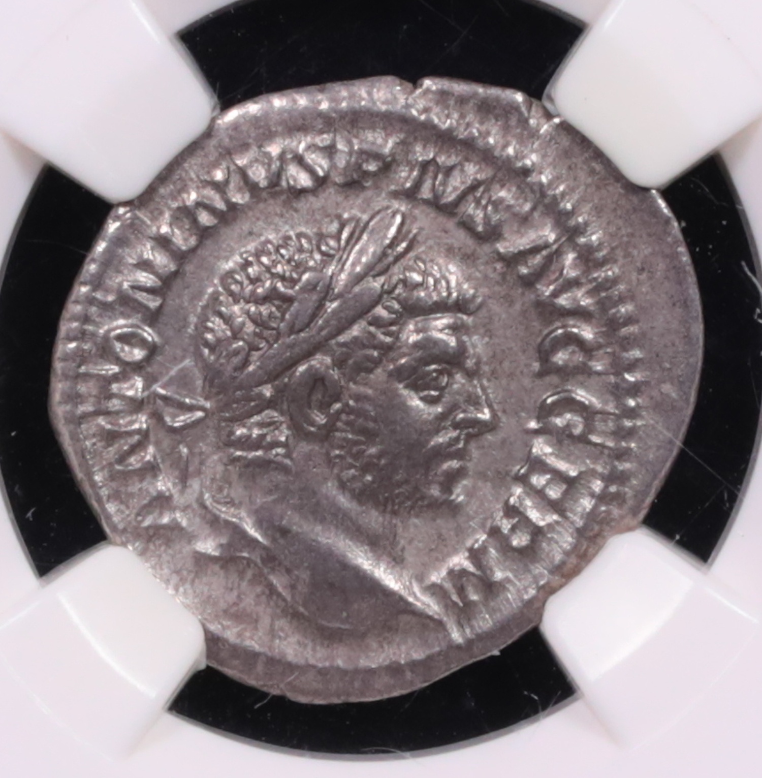 198-217 AD Roman Empire Caracalla Silver Denarius Seven Hills Hoard NGC Extremely Fine Obverse 198-217 AD Roman Empire Caracalla Silver Denarius Seven Hills Hoard NGC Extremely Fine Obverse