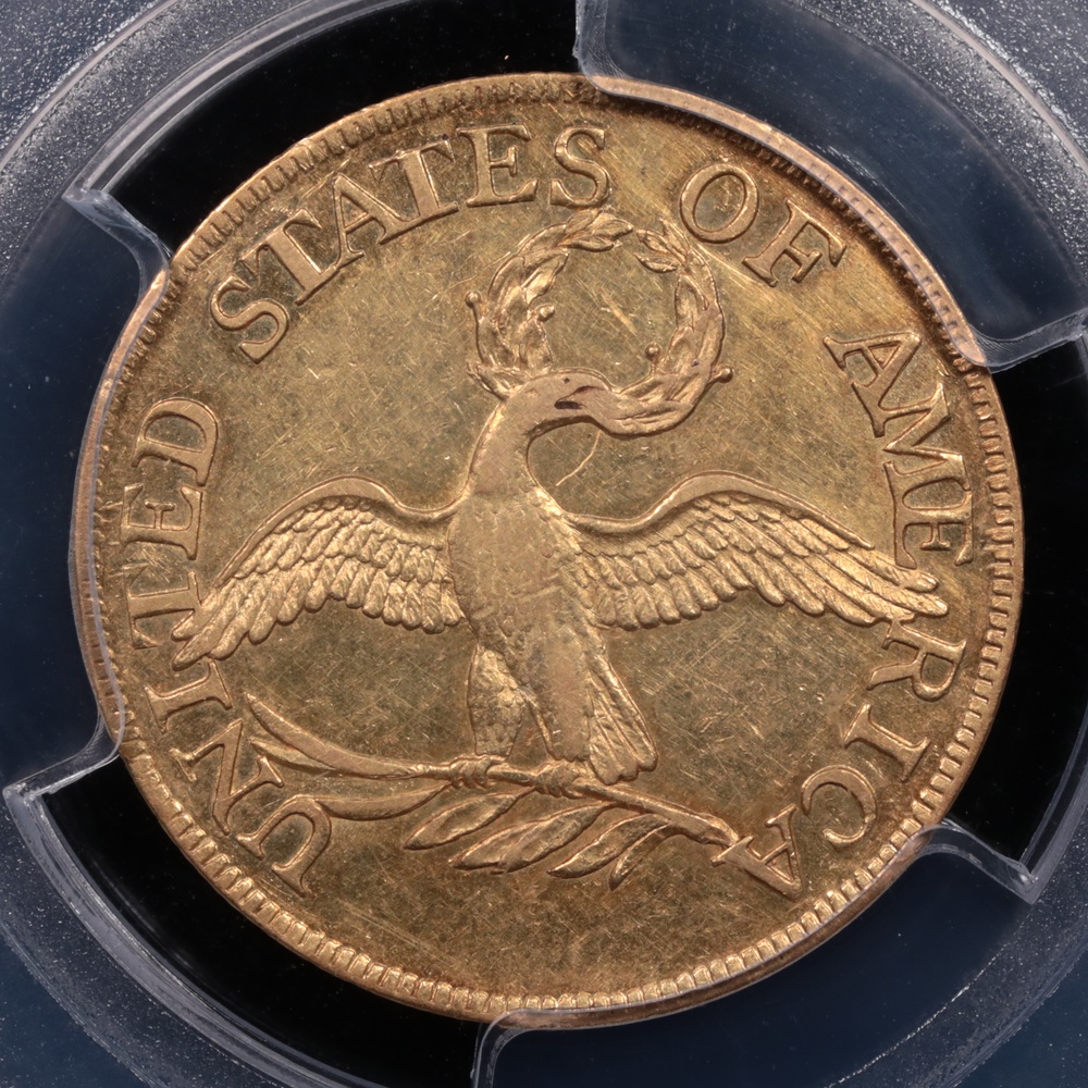 1795 $5 Liberty Gold Draped Bust Small Eagle PCGS AU-55 Reverse 1795 $5 Liberty Gold Draped Bust Small Eagle PCGS AU-55 Reverse