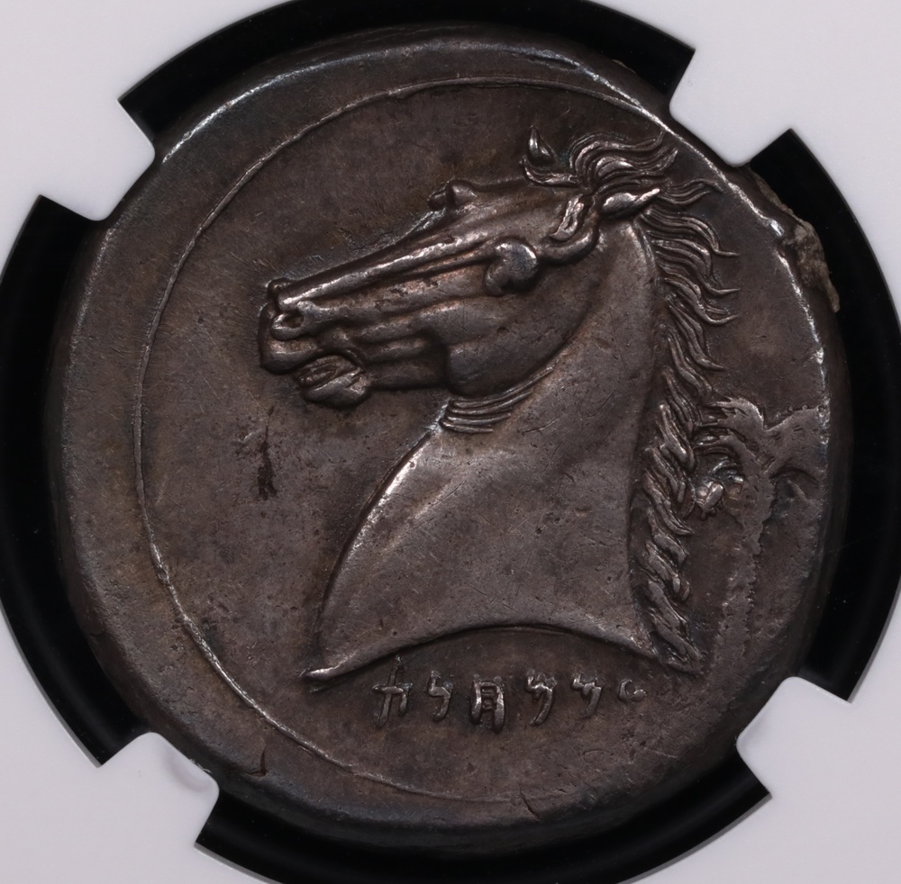 320-300 BC Sicily Silver Tetradrachm Siculo-Punic Arethusa NGC AU★ 5x5  Fine Style