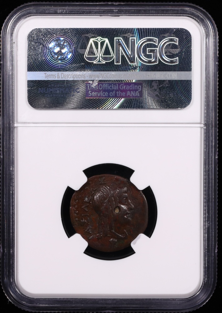 246-222 BC Ptolemy III Bronze AE22 Cyrene NGC Extremely Fine Reverse in Holder 246-222 BC Ptolemy III Bronze AE22 Cyrene NGC Extremely Fine Reverse in Holder
