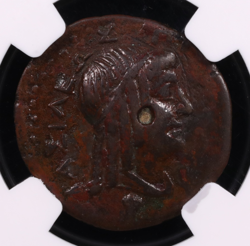 246-222 BC Ptolemy III Bronze AE22 Cyrene NGC Extremely Fine 4x3