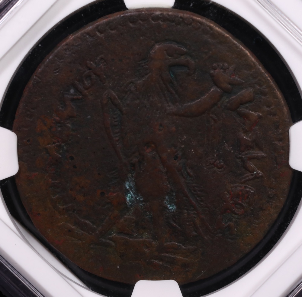 246-222 BC Ptolemy III Ptolemaic Kingdom Bronze AE38 NGC Very Fine 5x3