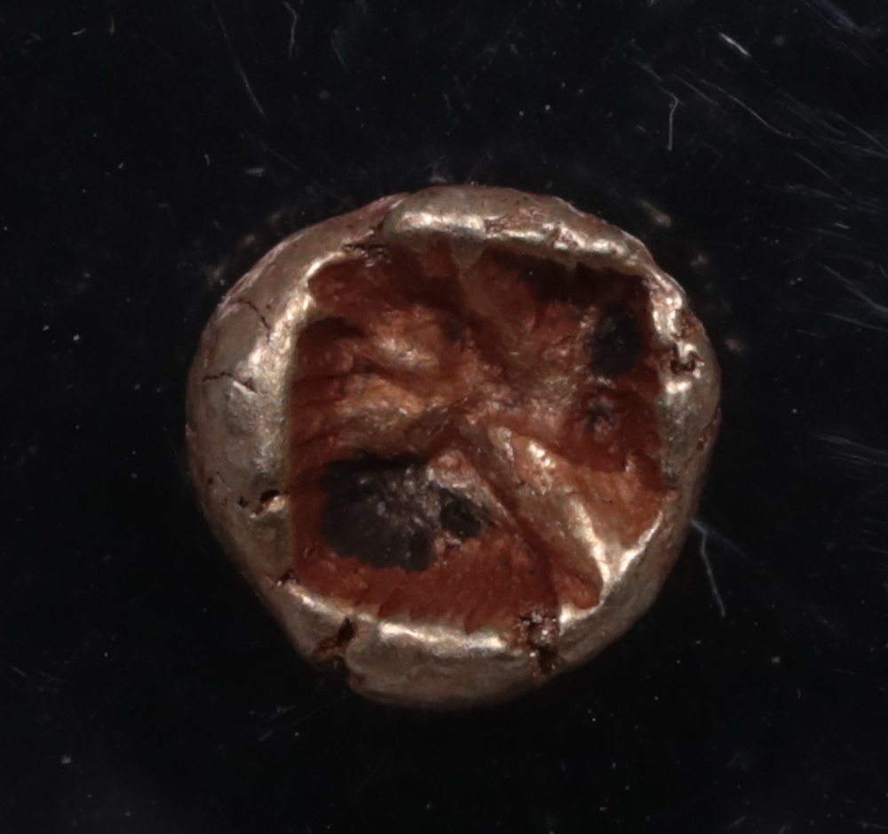 650-600 BC Ionia Uncertain Mint Electrum 1/24 Stater NGC About Uncirculated 5x5 Reverse 650-600 BC Ionia Uncertain Mint Electrum 1/24 Stater NGC About Uncirculated 5x5 Reverse