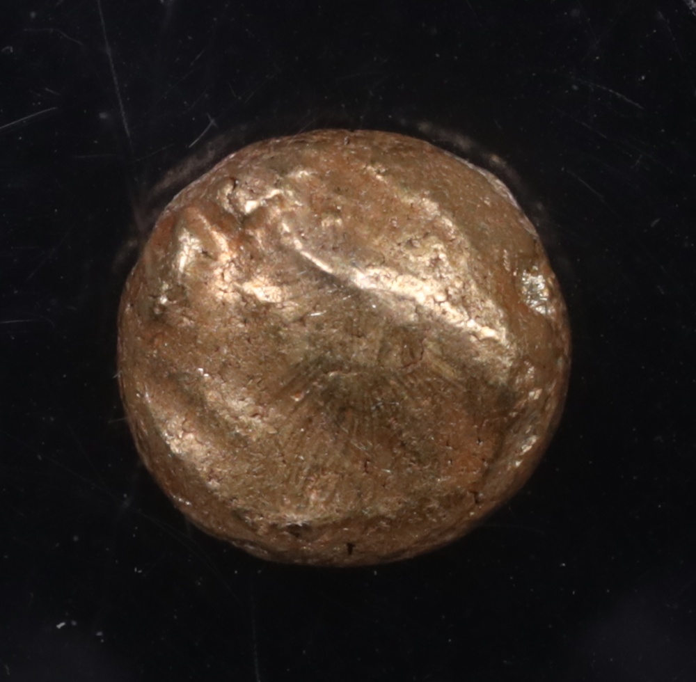 650-600 BC Ionia Electrum Twelfth-Stater NGC About Uncirculated 4x4 Obverse 650-600 BC Ionia Electrum Twelfth-Stater NGC About Uncirculated 4x4 Obverse