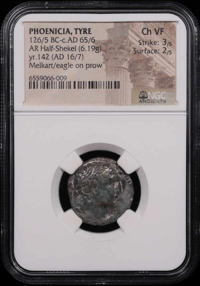 126/5 BC-c.AD 65/6 Phoenicia, Tyre Silver Half-Shekel NGC Choice Very Fine 3x2 Obverse in Holder 126/5 BC-c.AD 65/6 Phoenicia, Tyre Silver Half-Shekel NGC Choice Very Fine 3x2 Obverse in Holder