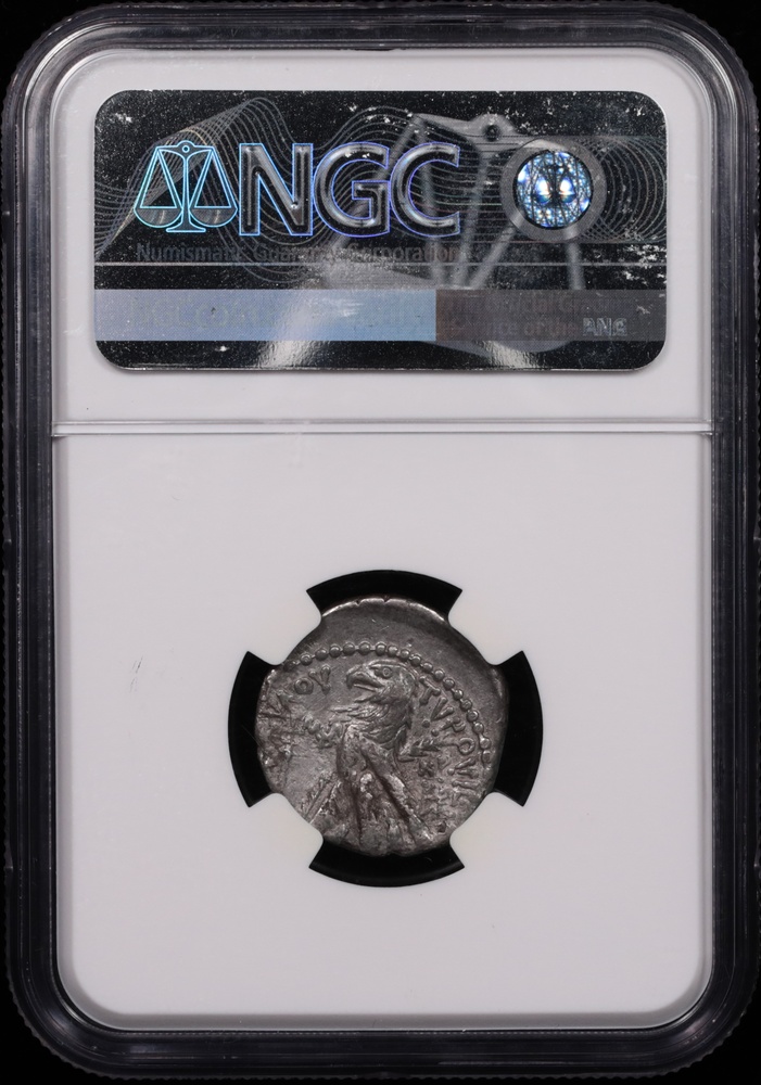 126/5 BC-c.AD 65/6 Phoenicia, Tyre Silver Half-Shekel NGC Choice Very Fine 3x2 Reverse in Holder 126/5 BC-c.AD 65/6 Phoenicia, Tyre Silver Half-Shekel NGC Choice Very Fine 3x2 Reverse in Holder