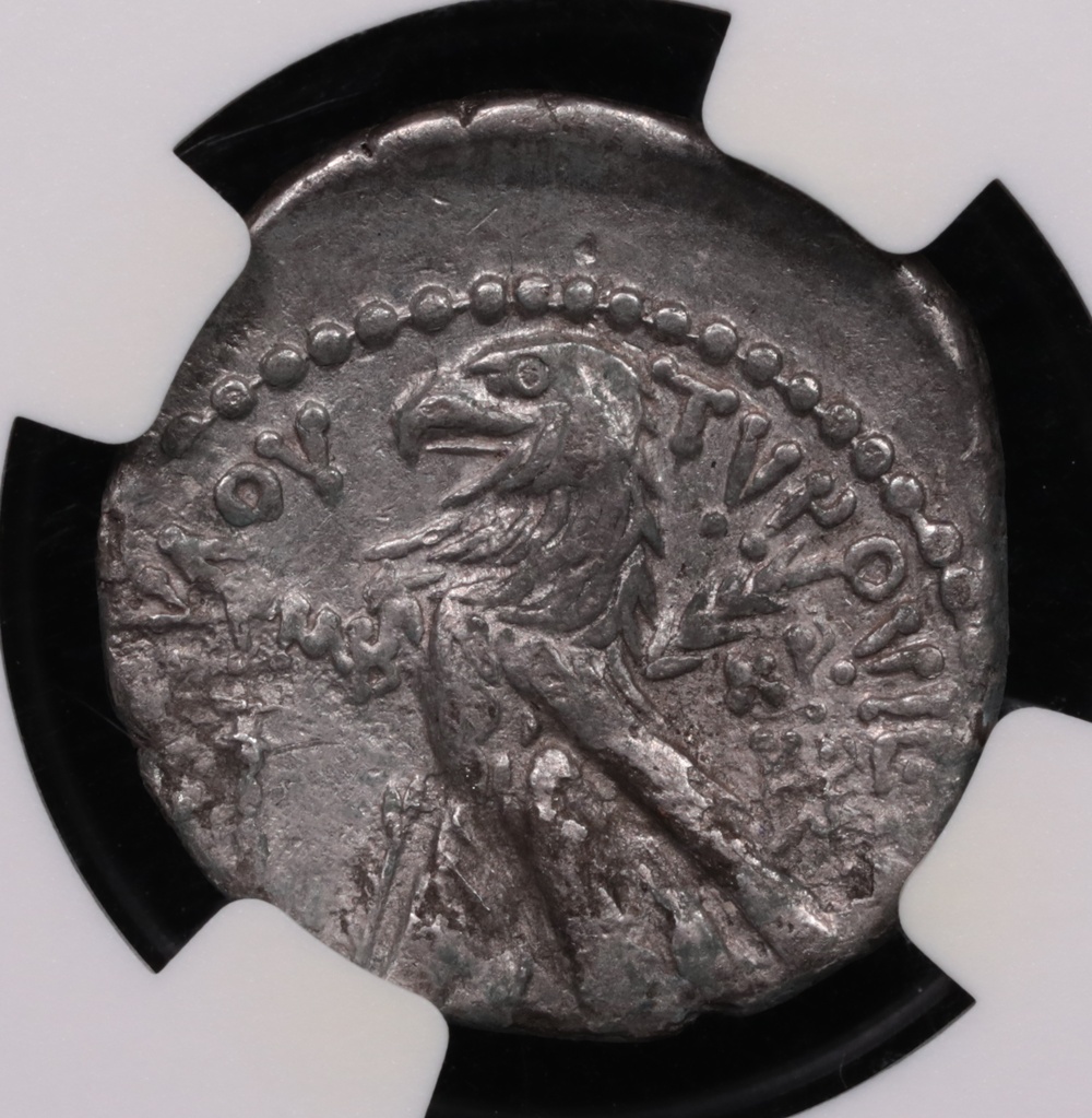 126/5 BC-c.AD 65/6 Phoenicia, Tyre Silver Half-Shekel NGC Choice Very Fine 3x2 Reverse 126/5 BC-c.AD 65/6 Phoenicia, Tyre Silver Half-Shekel NGC Choice Very Fine 3x2 Reverse