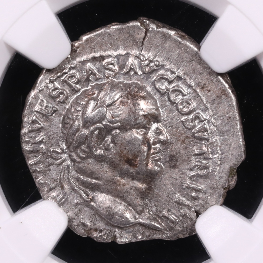 AD 69-79 Vespasian Silver Denarius Ephesus NGC Extremely Fine