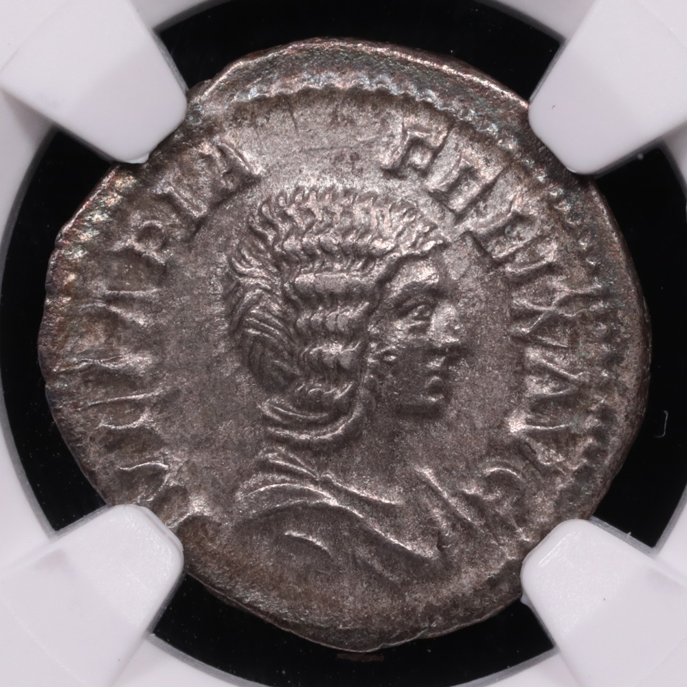 193-217 AD Roman Empire Julia Domna Silver Denarius NGC Choice Extremely Fine Obverse 193-217 AD Roman Empire Julia Domna Silver Denarius NGC Choice Extremely Fine Obverse