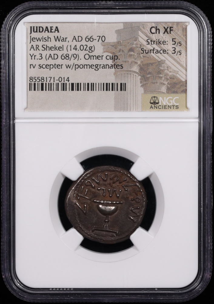 66-70 AD Judaea Jewish War Silver Shekel NGC Choice Extremely Fine 5x3 Obverse in Holder 66-70 AD Judaea Jewish War Silver Shekel NGC Choice Extremely Fine 5x3 Obverse in Holder