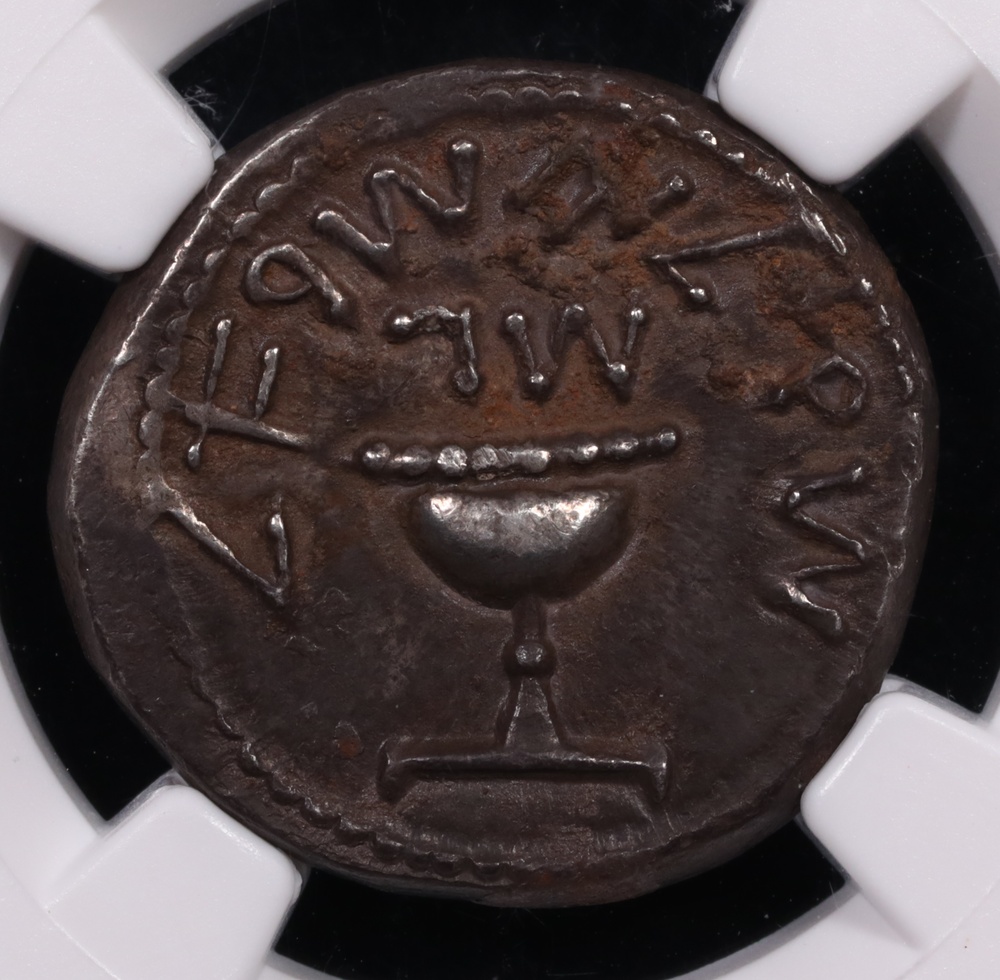 66-70 AD Judaea Jewish War Silver Shekel NGC Choice Extremely Fine 5x3 Obverse 66-70 AD Judaea Jewish War Silver Shekel NGC Choice Extremely Fine 5x3 Obverse