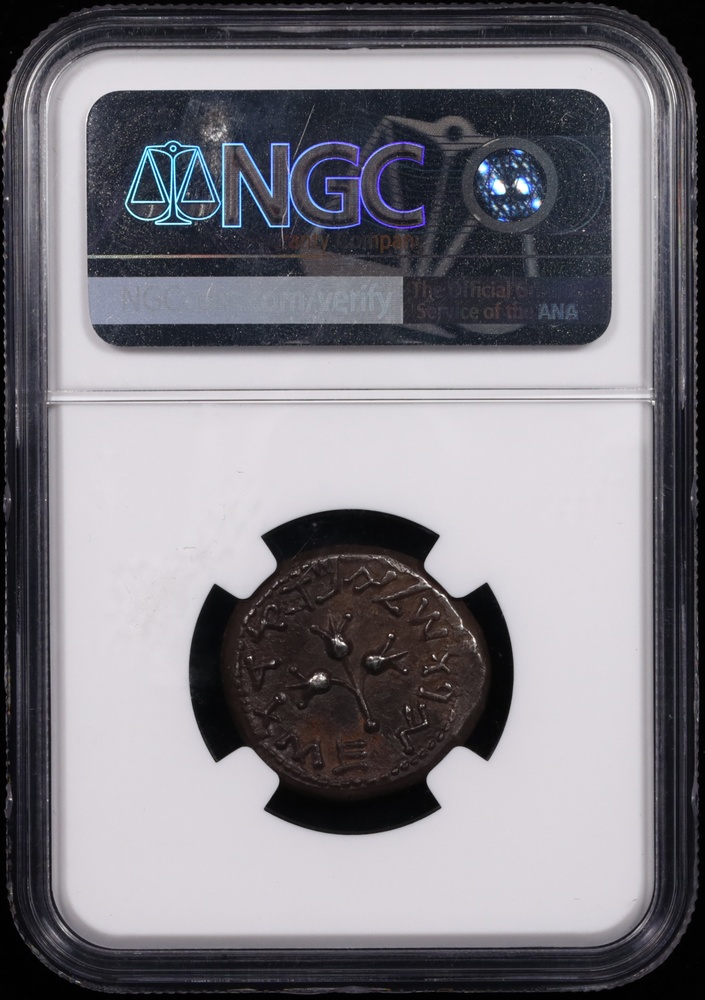 66-70 AD Judaea Jewish War Silver Shekel NGC Choice Extremely Fine 5x3 Reverse in Holder 66-70 AD Judaea Jewish War Silver Shekel NGC Choice Extremely Fine 5x3 Reverse in Holder