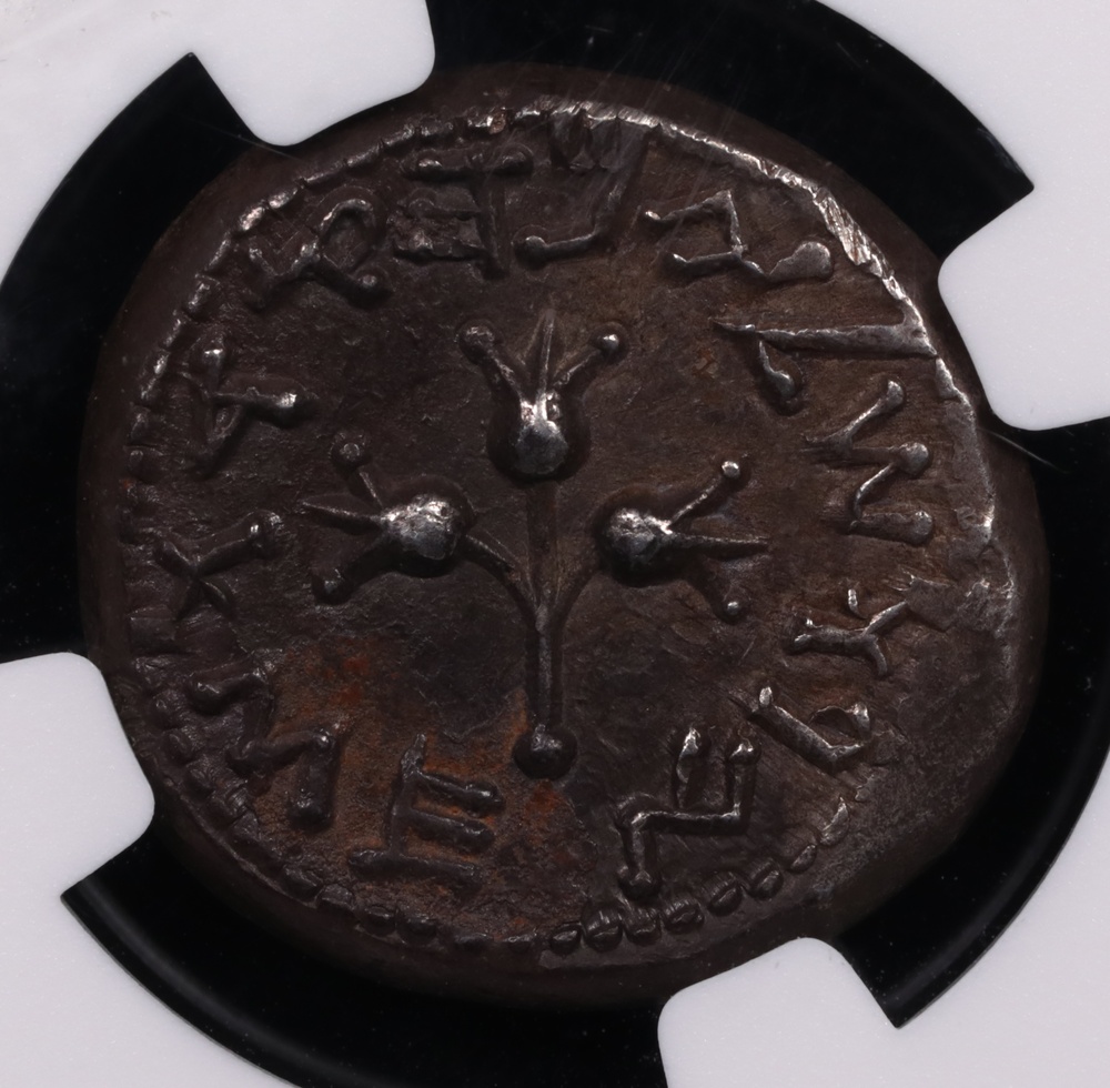 66-70 AD Judaea Jewish War Silver Shekel NGC Choice Extremely Fine 5x3 Reverse 66-70 AD Judaea Jewish War Silver Shekel NGC Choice Extremely Fine 5x3 Reverse