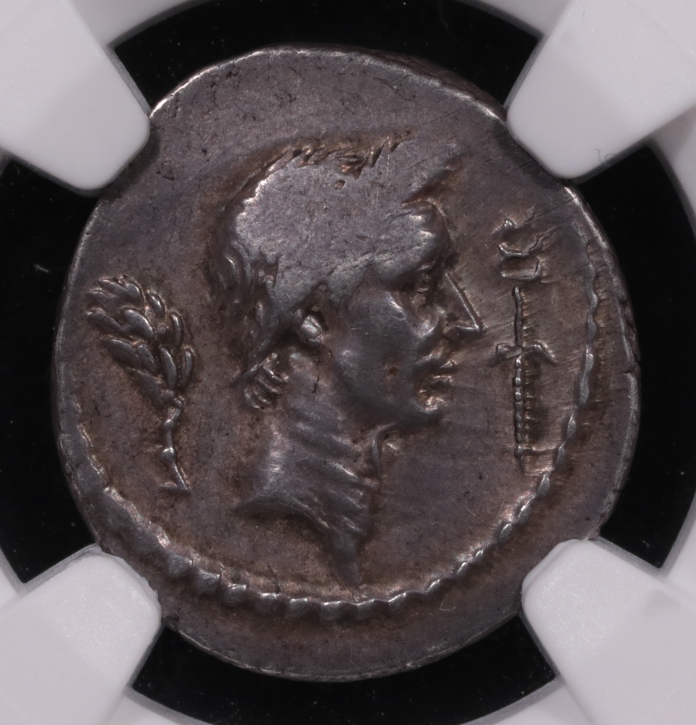 42 BC Roman Imperatorial Julius Caesar Silver Denarius NGC Choice Extremely Fine 3x5 Obverse 42 BC Roman Imperatorial Julius Caesar Silver Denarius NGC Choice Extremely Fine 3x5 Obverse