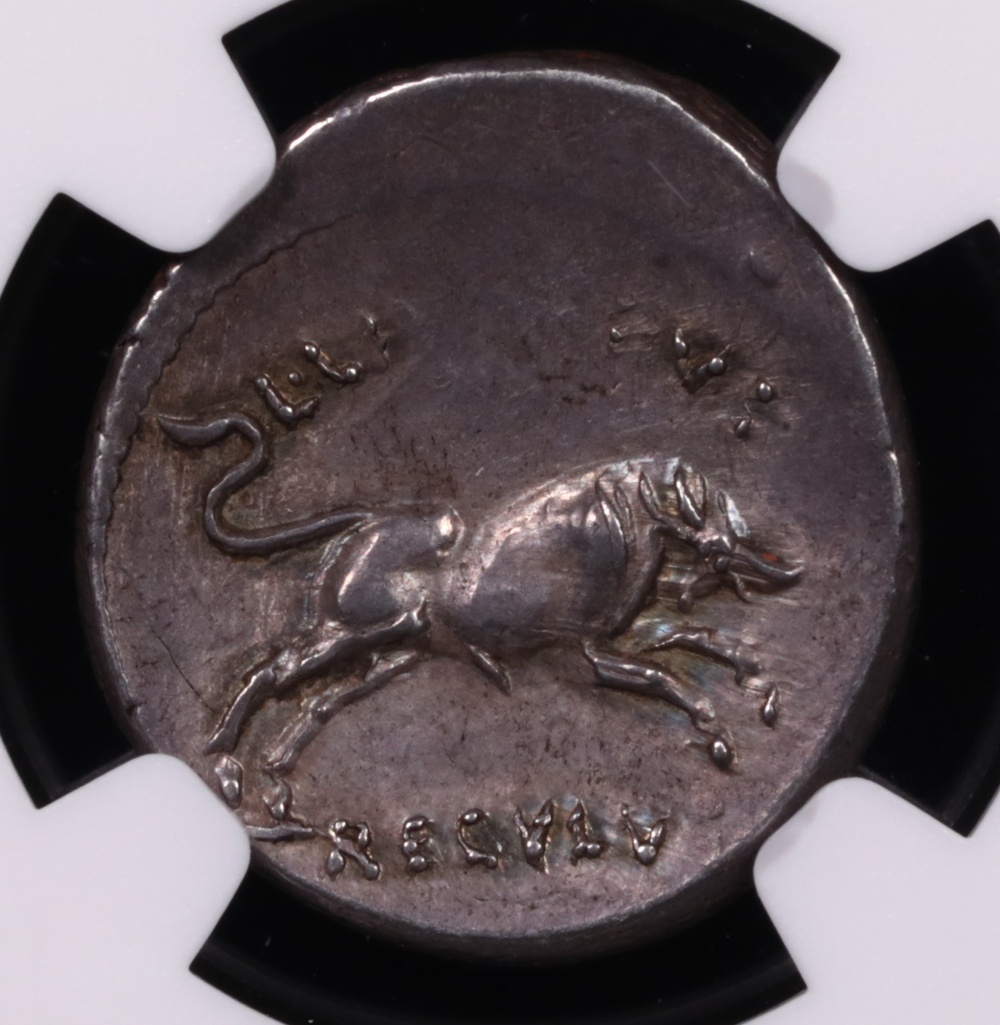 44 BC Julius Caesar Silver Denarius NGC Choice Extremely Fine 3x5