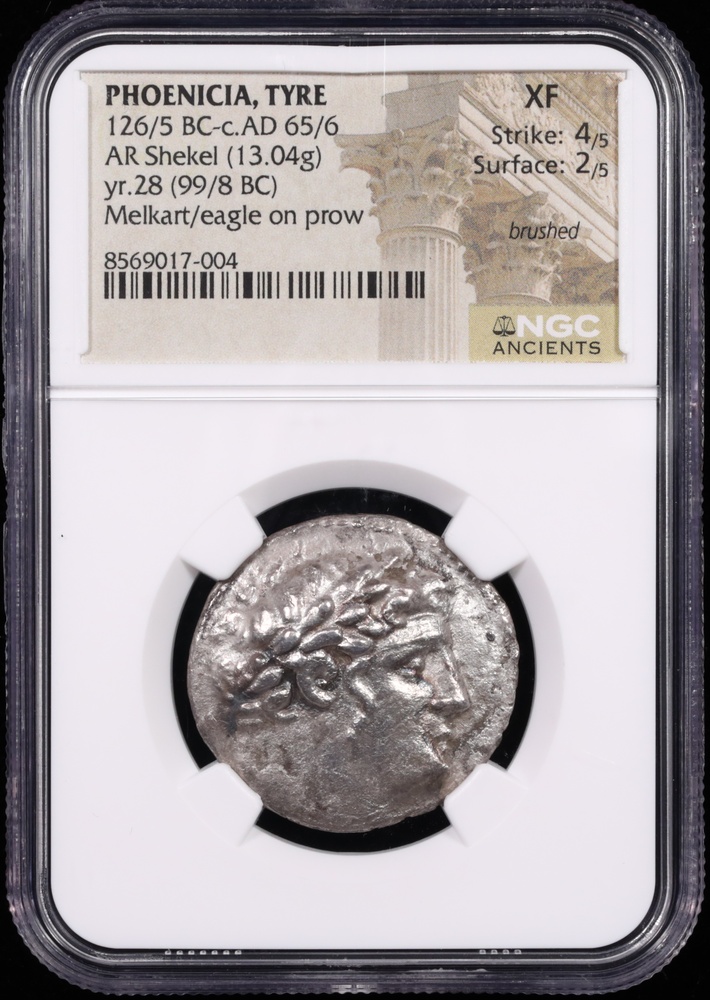 126/5 BC-65/6 AD Phoenicia, Tyre Silver Shekel NGC Extremely Fine 4x2 Obverse in Holder 126/5 BC-65/6 AD Phoenicia, Tyre Silver Shekel NGC Extremely Fine 4x2 Obverse in Holder