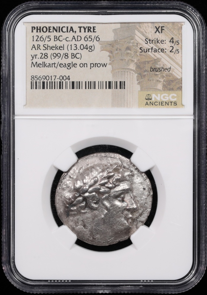99/8 BC Phoenicia, Tyre Silver Shekel NGC Extremely Fine 4x2