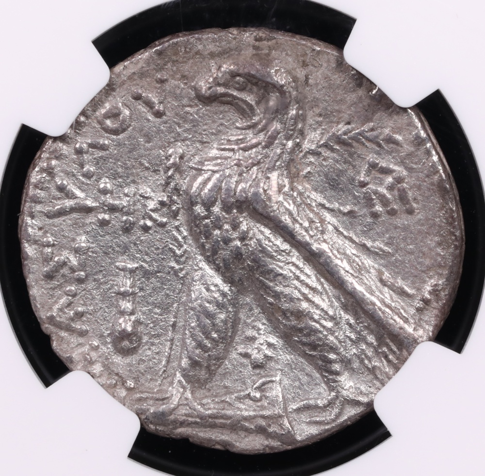 126/5 BC-65/6 AD Phoenicia, Tyre Silver Shekel NGC Extremely Fine 4x2 Reverse 126/5 BC-65/6 AD Phoenicia, Tyre Silver Shekel NGC Extremely Fine 4x2 Reverse