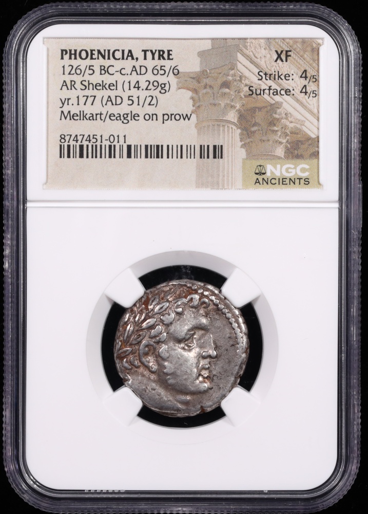 126-65 BC Phoenicia, Tyre Silver Shekel NGC Extremely Fine 4x4 Obverse in Holder 126-65 BC Phoenicia, Tyre Silver Shekel NGC Extremely Fine 4x4 Obverse in Holder