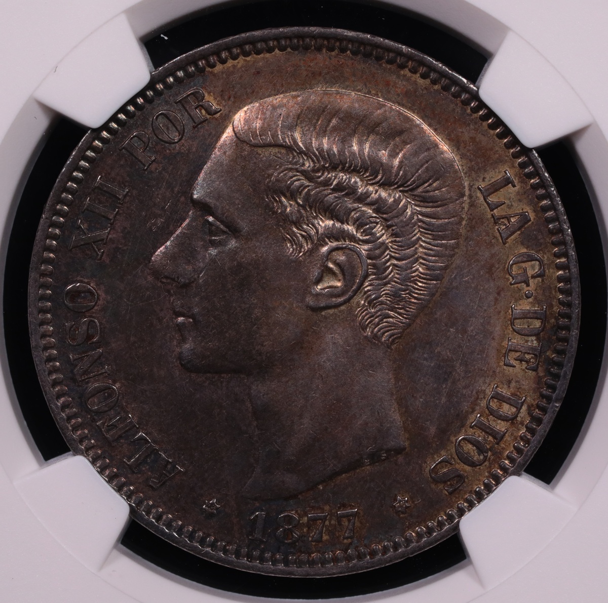 1877 Spain 5 Pesetas Alfonso XII NGC AU-58 Obverse 1877 Spain 5 Pesetas Alfonso XII NGC AU-58 Obverse