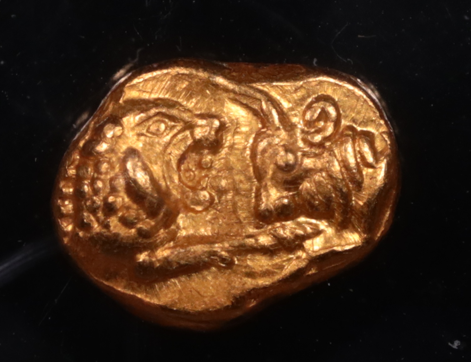 561-546 BC Lydia Croesus Gold Sixth-Stater NGC Choice About Uncirculated★ 5x5 Obverse 561-546 BC Lydia Croesus Gold Sixth-Stater NGC Choice About Uncirculated★ 5x5 Obverse