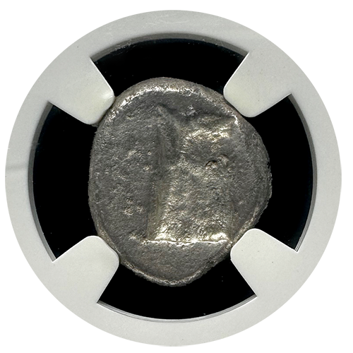 Achaemenid | Silver Siglos | AU 4x4 | Reverse