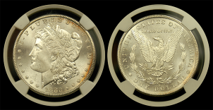 Morgan Silver Dollars NGC/PCGS MS-65 | Austin Coins