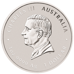 Australian 記念メダル　1oz 2oz Silver 2025 Honey Bee Antiqued Coloured 2oz Silver Coin 2 Dollars