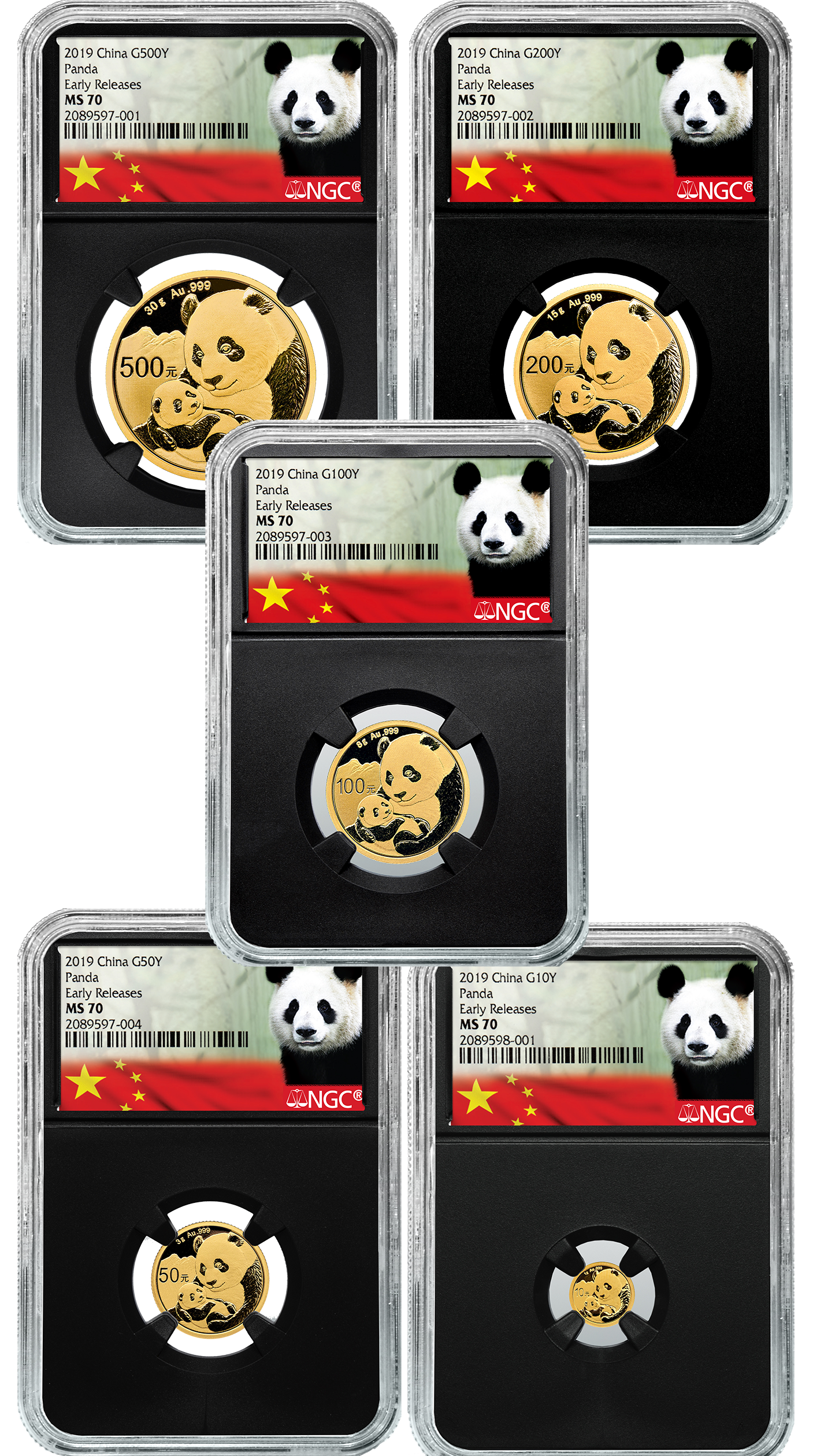 MS-70 5-Coin Set 2019 China Gold Pandas | Austin Coins