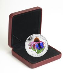 Canada Purple Coneflower | 20 Dollar | Case