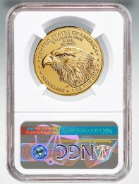 MS 69 - 2020 American Eagle Gold Coin NGC 4 Coin Set