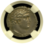 Silver Half Shekel | NGC | CHXF-Star | 4x5