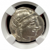 Athens Silver Owl Tetradrachm NGC Choice Mint State 5x4