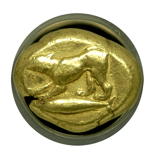 Cyzicus Electrum Stater Hound on Tunny NGC Ch VF 4x4 Cyzicus Electrum Stater Hound on Tunny NGC Ch VF 4x4