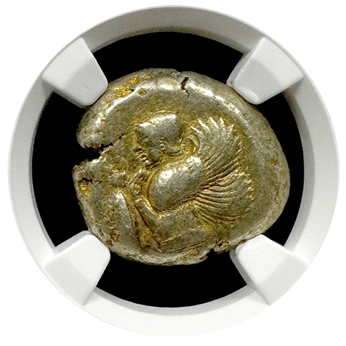 Mysia | Cyzicus | Harpy Stater | CH-VF 5x4 | Obverse Mysia | Cyzicus | Harpy Stater | CH-VF 5x4 | Obverse
