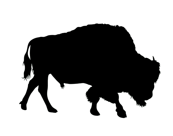 american buffalo sihouette