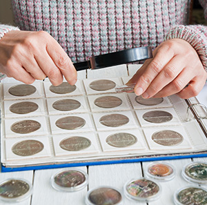 Morgan Silver Dollar collection