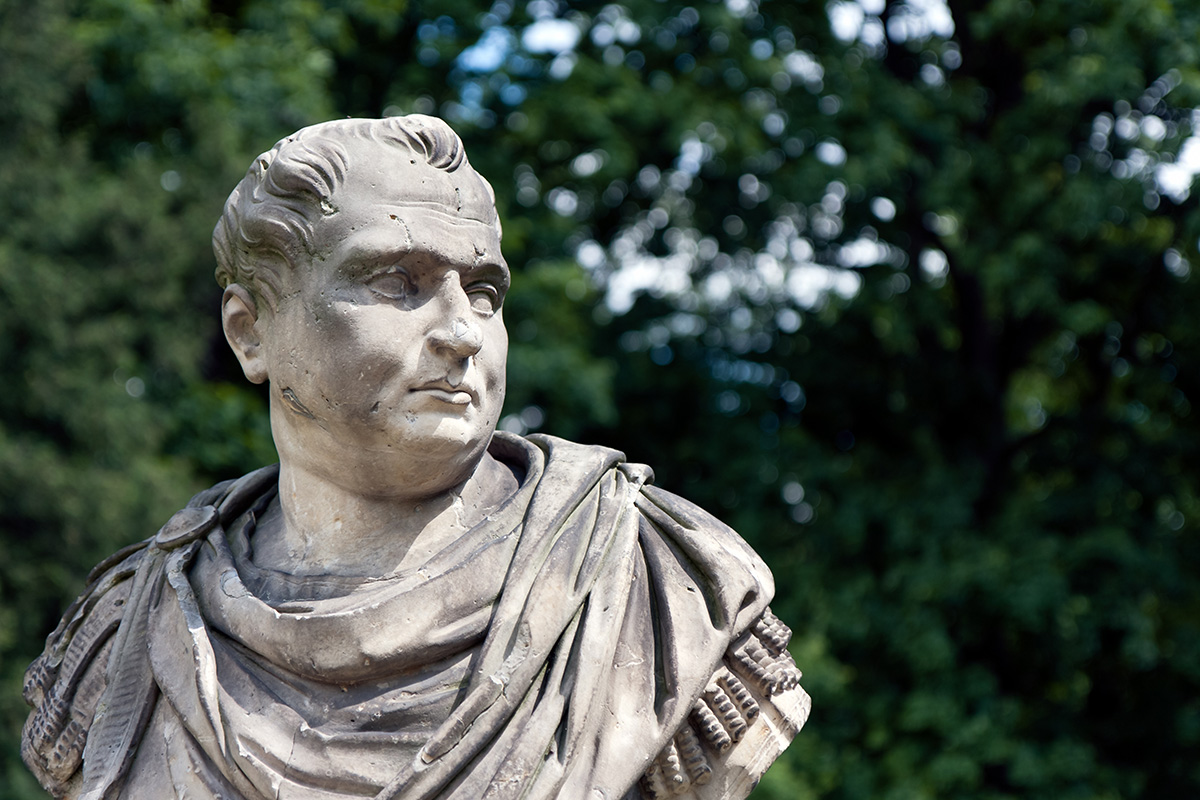 Emperor Vitellius Bust